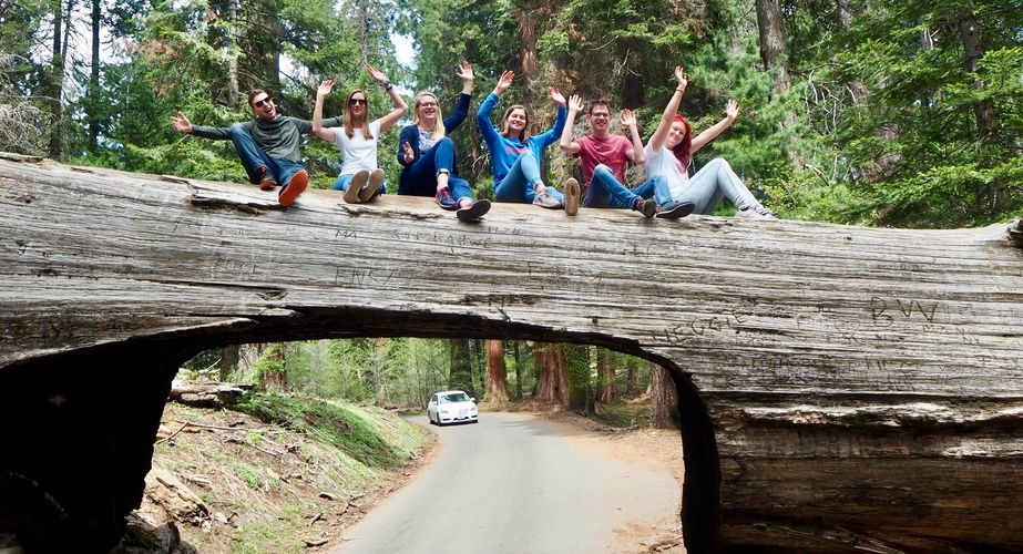 Tunnel Log Sequoia National Park